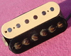 1959 Zebra PAF 8.3 ohms : 
Visit our eBay Store 
