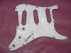 251- 1965 Stratocaster  pickguard shield : 